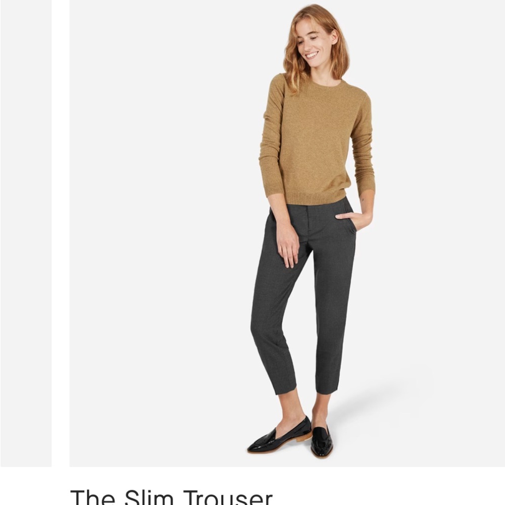 Everlane Gray Ankle Cropped Pants